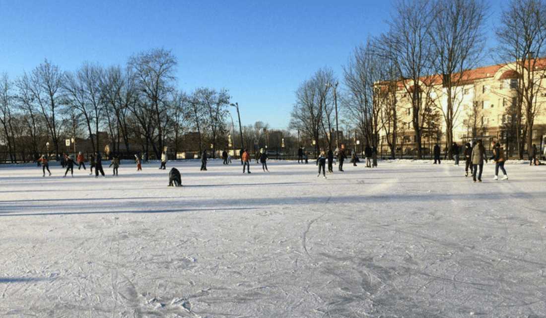 10. «Ижорец»