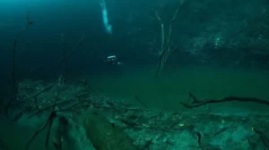 10. Подводная река на дне Черного моря