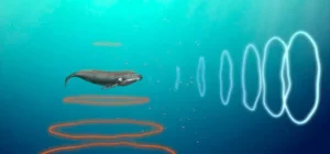 Звук в воздухе и в воде распространяется с разной скоростью